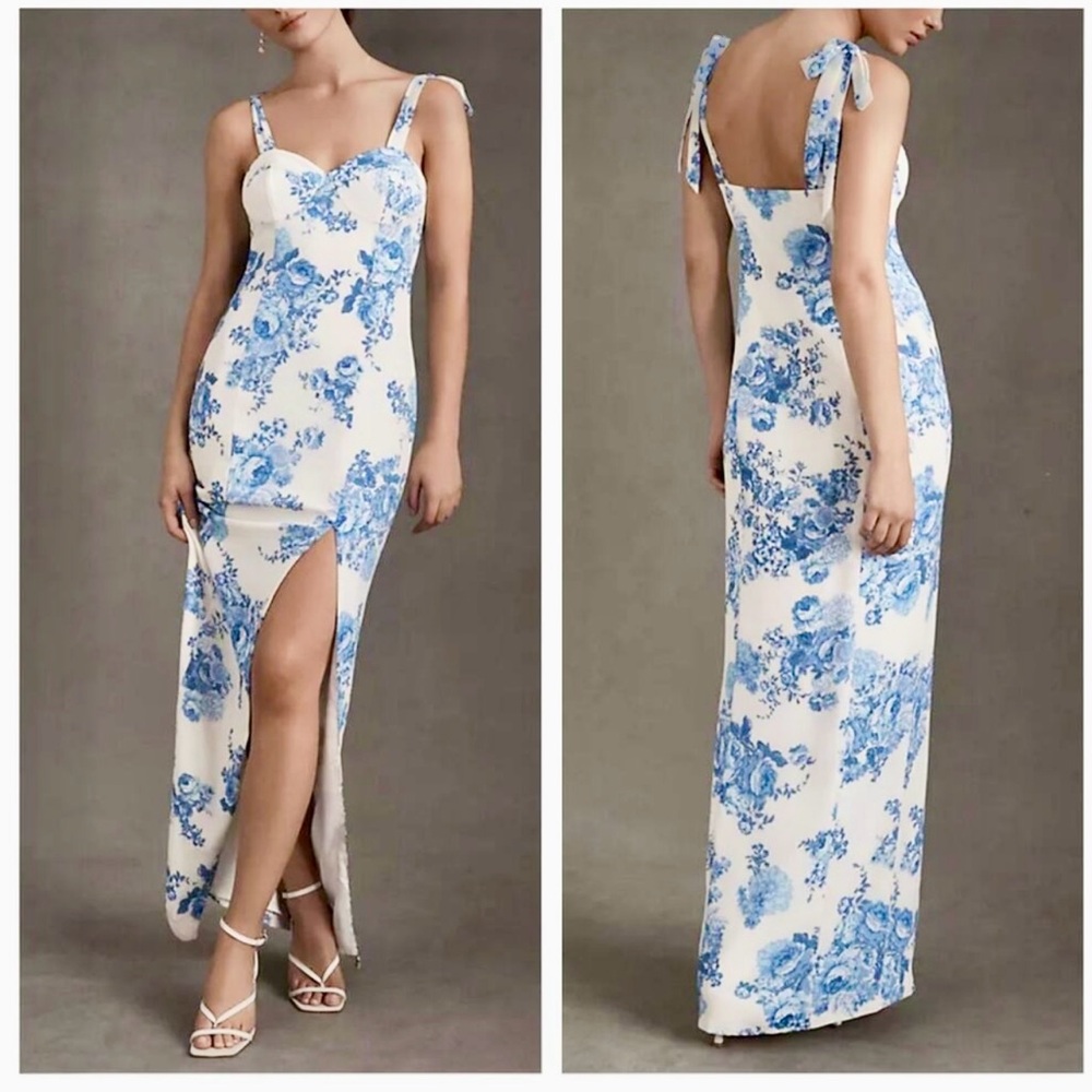 BHLDN Antonia Georgette Dress Anthropologie